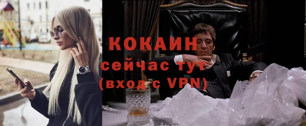 ГАЛЛЮЦИНОГЕННЫЕ ГРИБЫ Михайловск